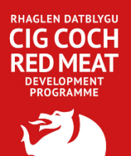 Read Meat Development Programme