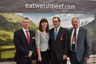 Export discussions dominate opening day of Royal Welsh Show for HCC