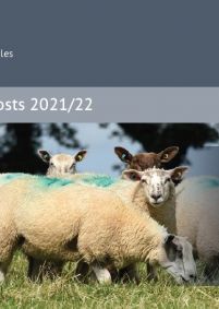 HCC Lamb Production Costs 2021-22: cover
