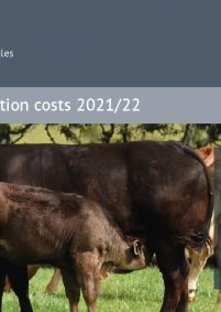 Suckler calf production costs 2021/22: cover