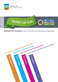 Flying the Flag - Decade of Success for the Welsh Red Meat Brands cover