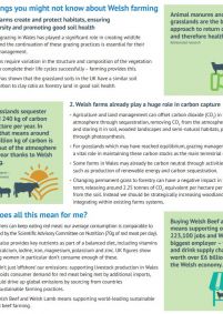 Quick Facts on Welsh Red Meat and Sustainability: cover