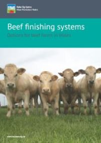 Beef finishing systems: cover
