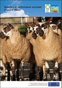 Directory of Performance Recorded Sheep in Wales: cover