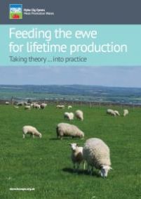Feeding the Ewe for lifetime production: cover