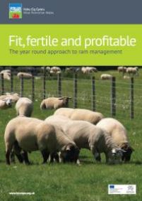 Fit, fertile and profitable - The year round approach to ram management: cover