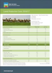 Lamb Cost of Production 2016/17: cover