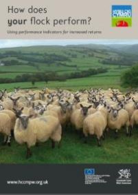 How does your flock perform?: cover