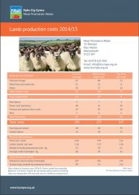 Lamb Cost of Production 2014/2015: cover