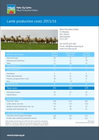 Lamb Cost of Production 2015/2016: cover