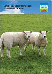 Lamb Producers’ Handbook - From Gate to Plate: cover