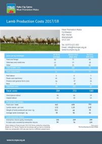 Lamb Cost of Production 2017/18: cover