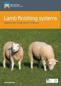 Lamb Finishing Systems: cover