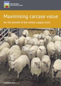 Maximising carcase value for the benefit of the whole supply chain: cover