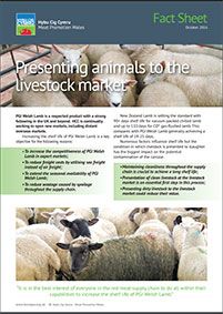 Presenting Animals to the Livestock Market: cover