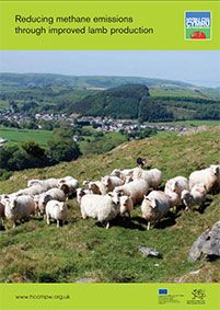 Reducing methane emissions through improved lamb production: cover