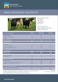 “Suckler Calf Cost of Production 2013/14   ”: cover