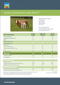 Suckler Calf Production Costs 2016/17: cover