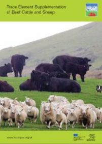 Trace Element Supplementation of Beef Cattle and Sheep: cover