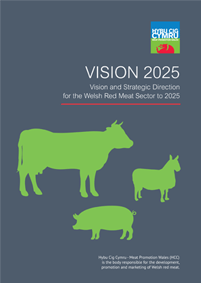 VISION 2025 cover